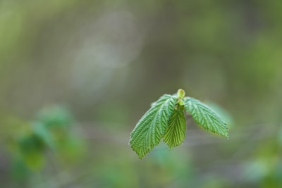 图聚科技